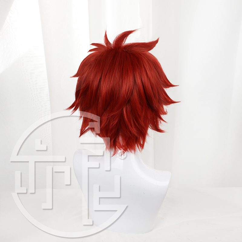 Anime SK8 the Infinity Reki Co - Anime Cosplay With Red Hair 评论和价格